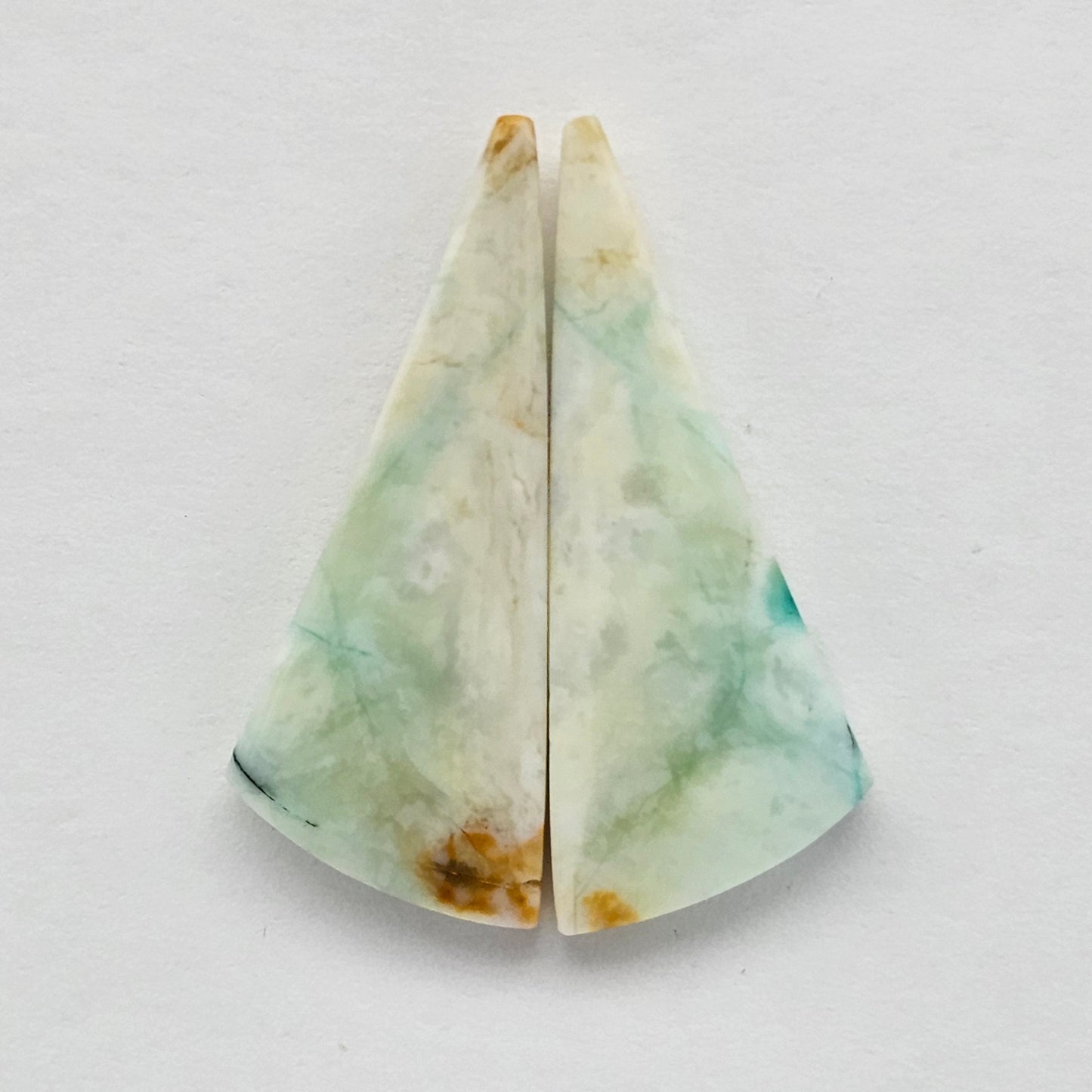 Blue Opal Petrified Wood Cabochon Pair