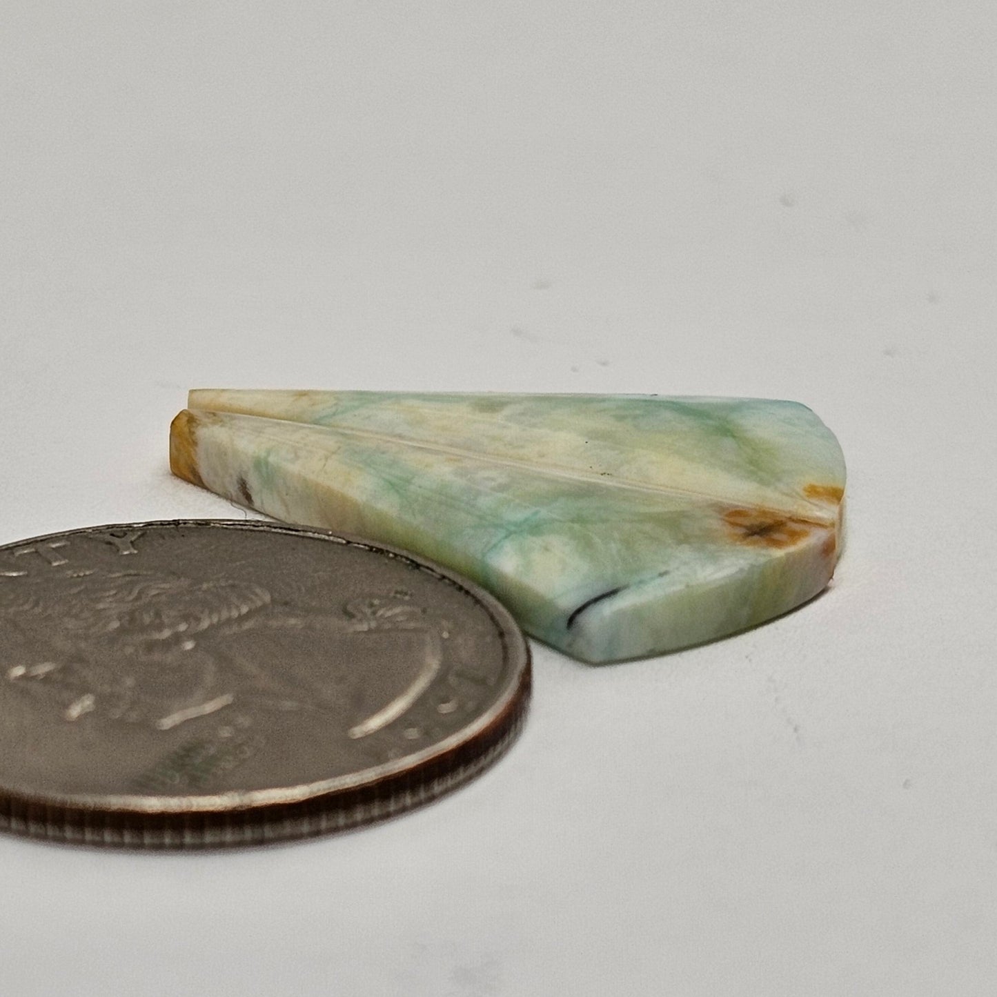 Blue Opal Petrified Wood Cabochon Pair