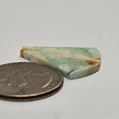 Blue Opal Petrified Wood Cabochon Pair