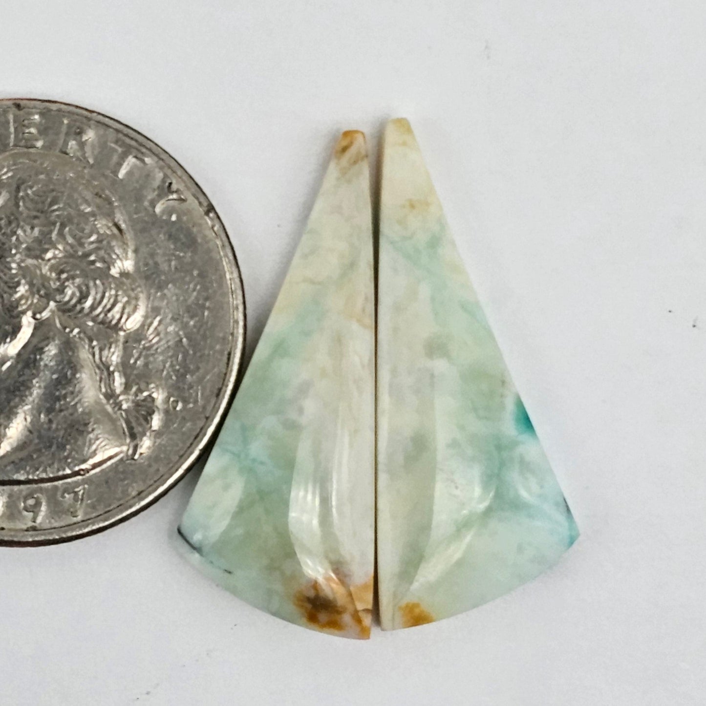 Blue Opal Petrified Wood Cabochon Pair