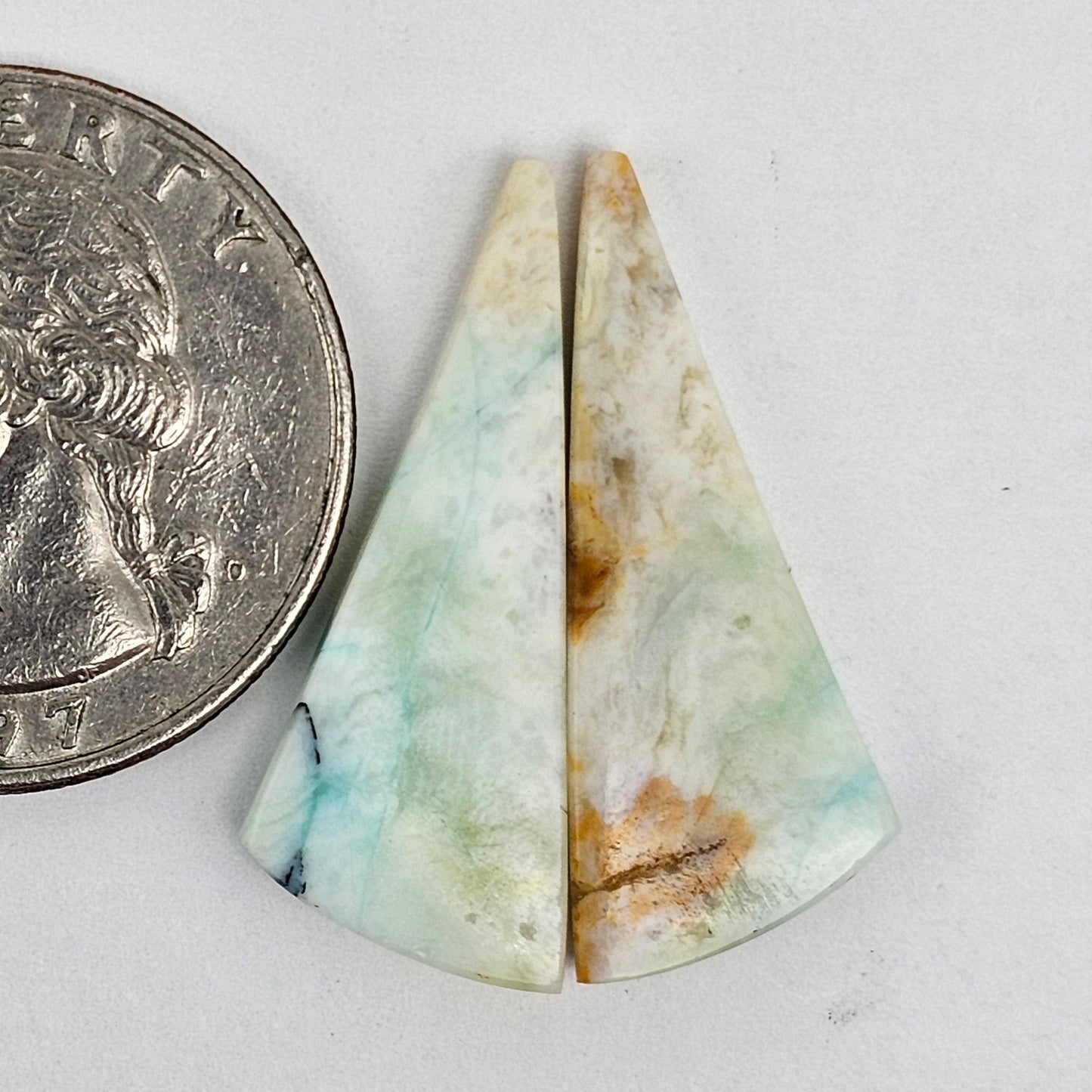 Blue Opal Petrified Wood Cabochon Pair