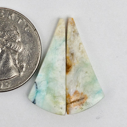 Blue Opal Petrified Wood Cabochon Pair