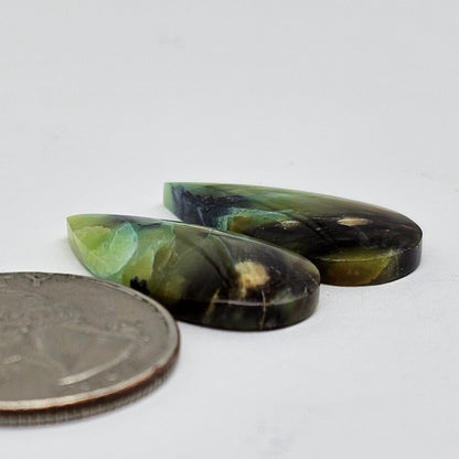 Blue Opal Petrified Wood Cabochon Pair