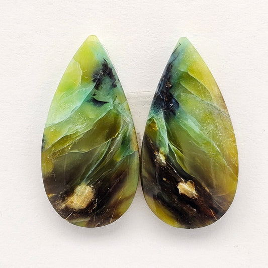 Blue Opal Petrified Wood Cabochon Pair