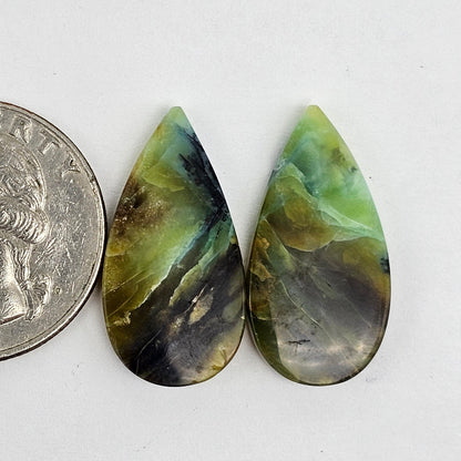 Blue Opal Petrified Wood Cabochon Pair