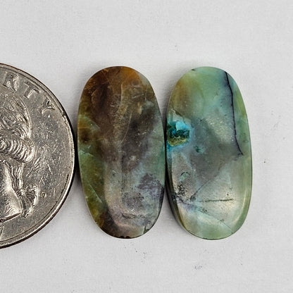 Blue Opal Petrified Wood Cabochon Pair
