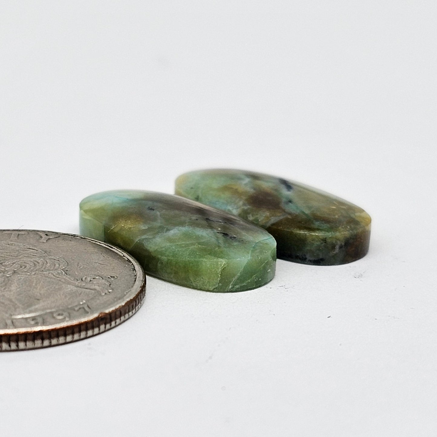 Blue Opal Petrified Wood Cabochon Pair