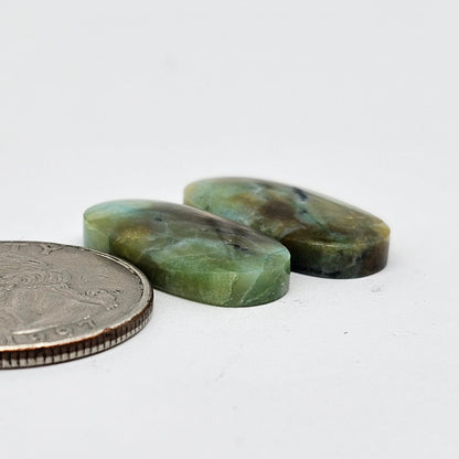 Blue Opal Petrified Wood Cabochon Pair