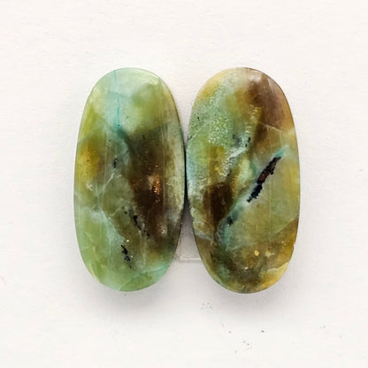 Blue Opal Petrified Wood Cabochon Pair