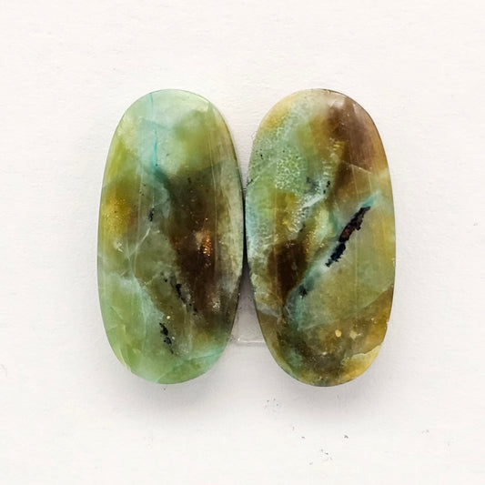 Blue Opal Petrified Wood Cabochon Pair