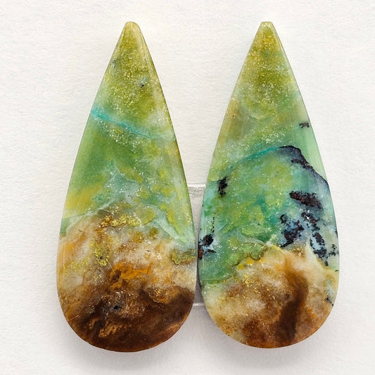 Blue Opal Petrified Wood Cabochon Pair