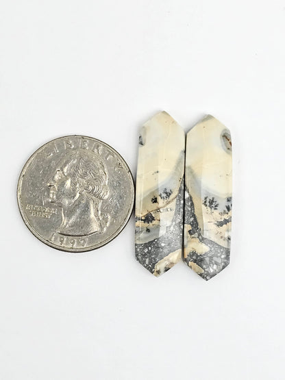 Maligano Jasper Cabochon Pair