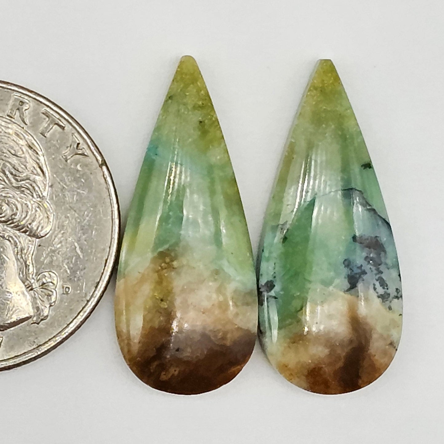 Blue Opal Petrified Wood Cabochon Pair