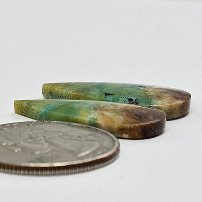 Blue Opal Petrified Wood Cabochon Pair