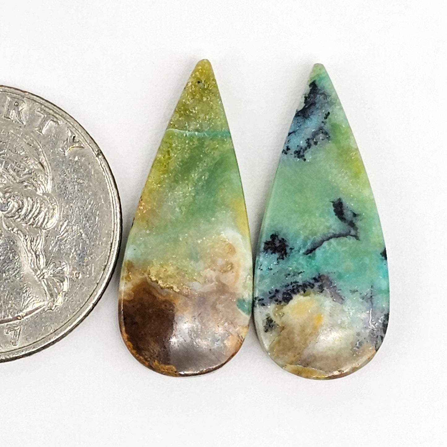 Blue Opal Petrified Wood Cabochon Pair