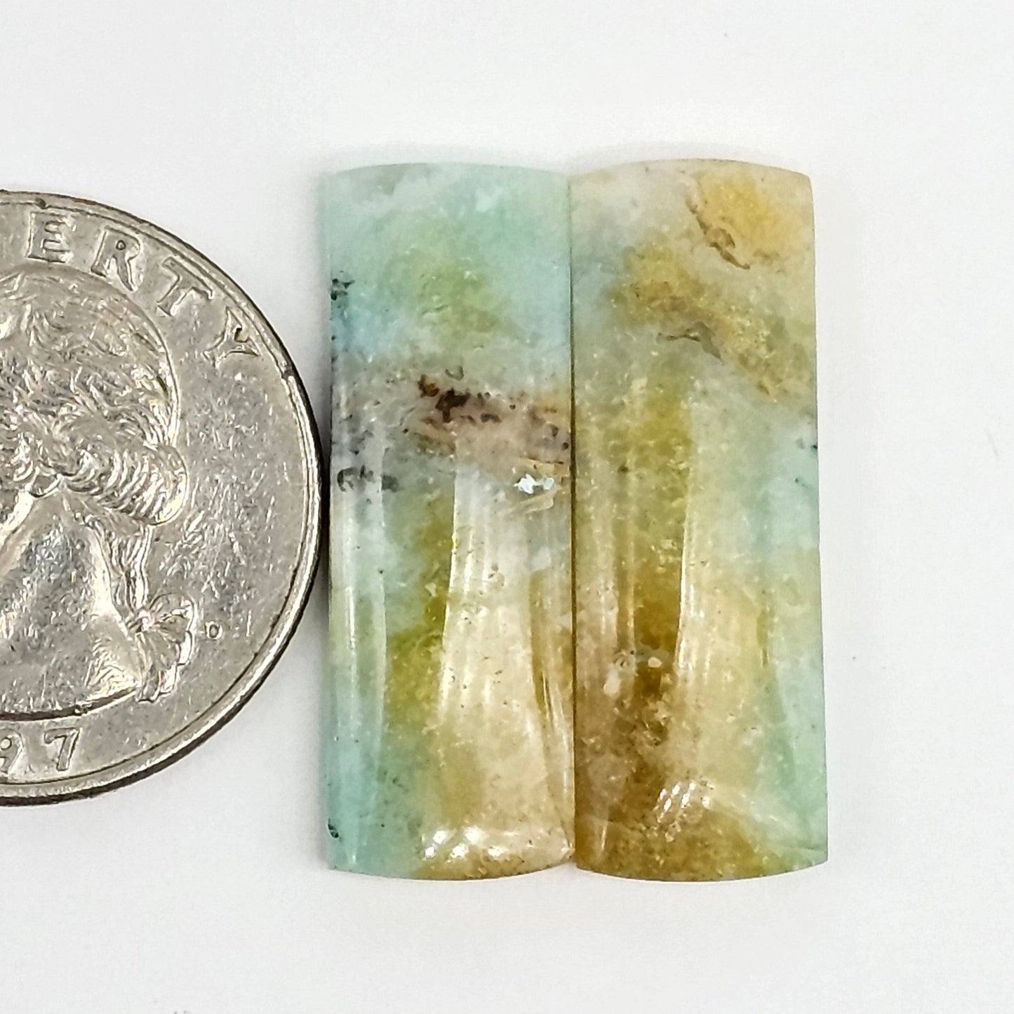 Blue Opal Petrified Wood Cabochon Pair