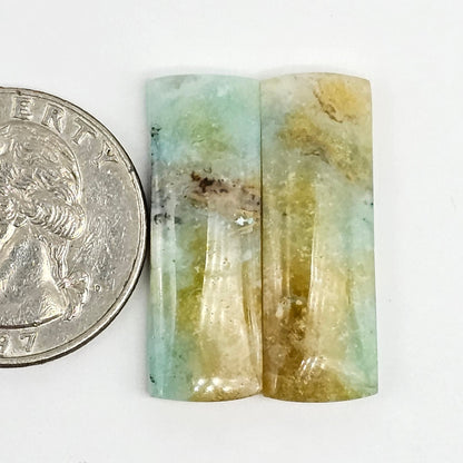 Blue Opal Petrified Wood Cabochon Pair