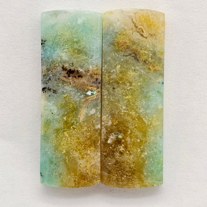 Blue Opal Petrified Wood Cabochon Pair