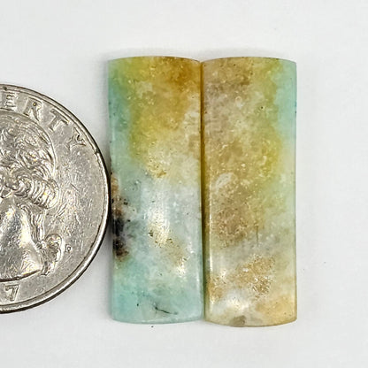 Blue Opal Petrified Wood Cabochon Pair