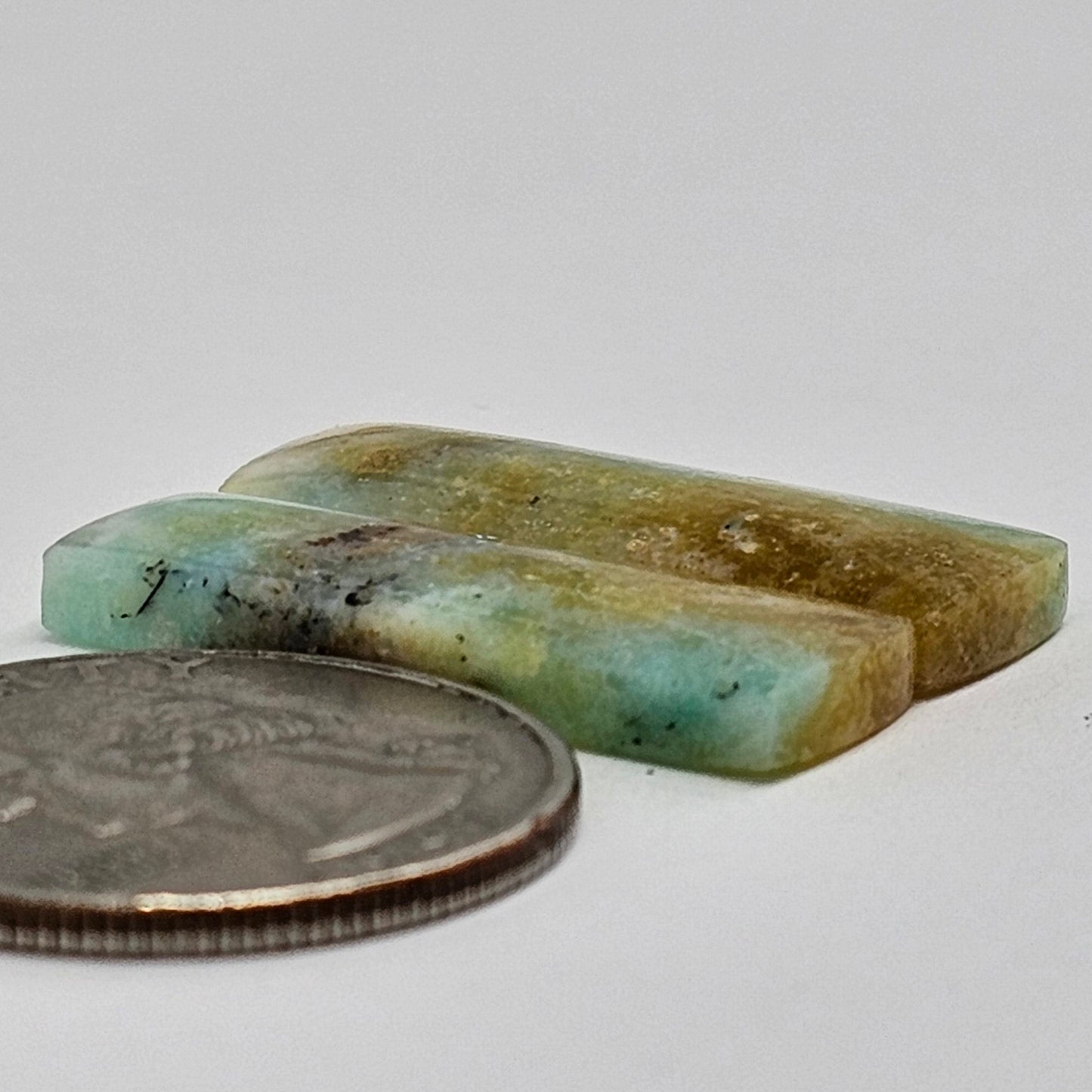 Blue Opal Petrified Wood Cabochon Pair