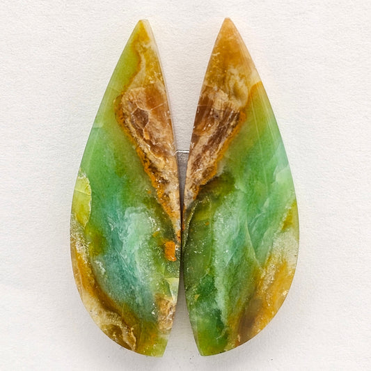 Blue Opal Petrified Wood Cabochon Pair