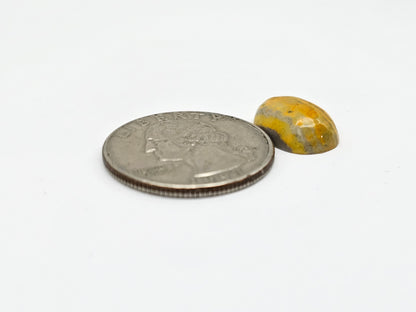 Bumblebee Jasper Cabochon