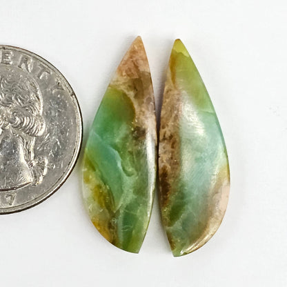 Blue Opal Petrified Wood Cabochon Pair