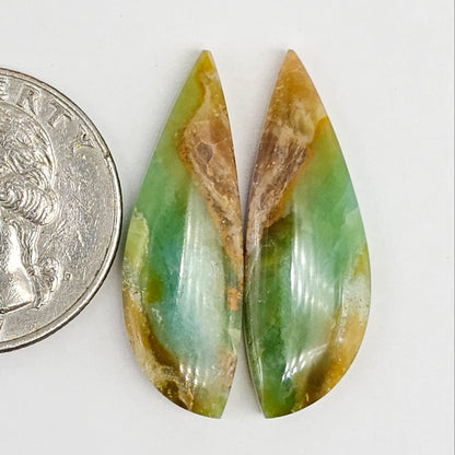 Blue Opal Petrified Wood Cabochon Pair