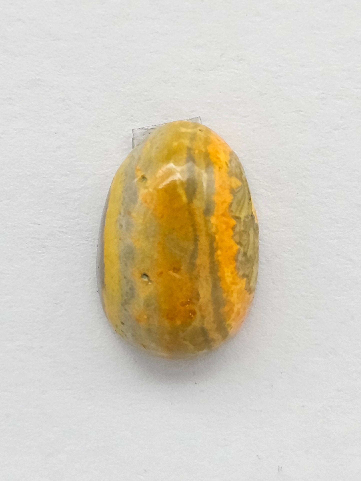 Bumblebee Jasper Cabochon