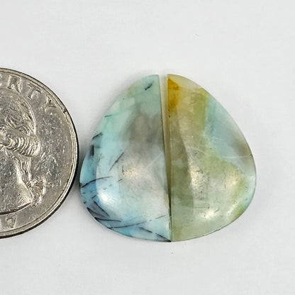 Blue Opal Petrified Wood Cabochon Pair