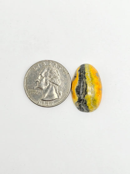 Bumblebee Jasper Cabochon
