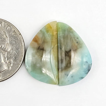 Blue Opal Petrified Wood Cabochon Pair