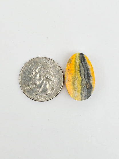 Bumblebee Jasper Cabochon