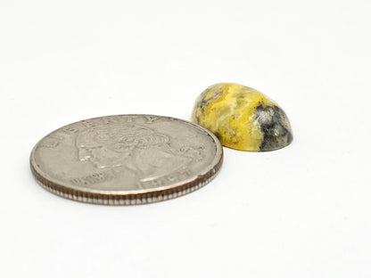 Bumblebee Jasper Cabochon