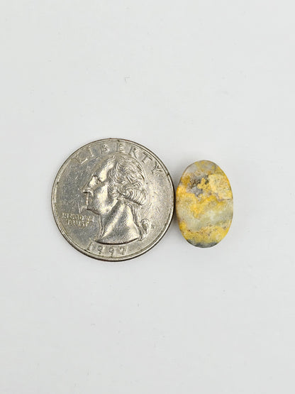 Bumblebee Jasper Cabochon