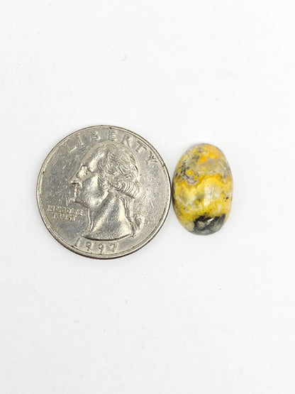 Bumblebee Jasper Cabochon