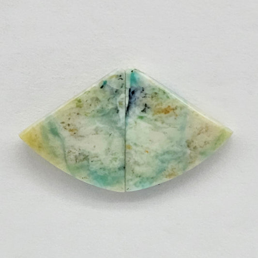 Blue Opal Petrified Wood Cabochon Pair