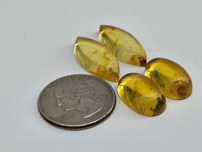 Amber authentic cabochon pair lot