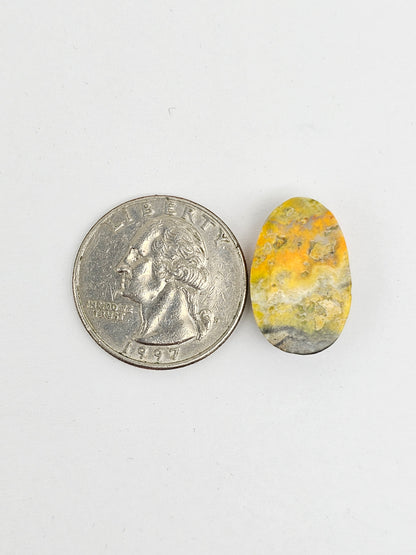 Bumblebee Jasper Cabochon
