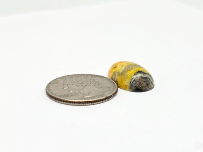 Bumblebee Jasper Cabochon