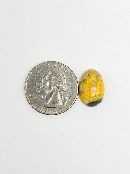 Bumblebee Jasper Cabochon