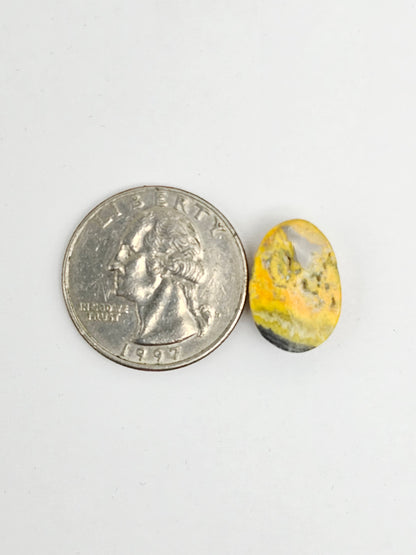 Bumblebee Jasper Cabochon
