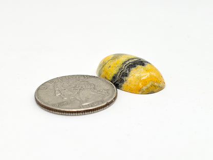 Bumblebee Jasper Cabochon