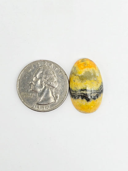 Bumblebee Jasper Cabochon