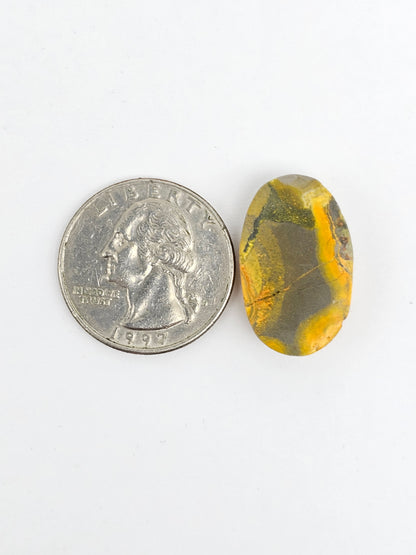 Bumblebee Jasper Cabochon