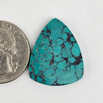 Cloud Mountain Turquoise Cabochon Large