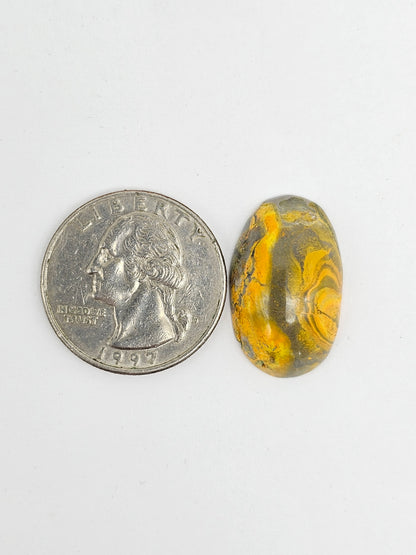 Bumblebee Jasper Cabochon