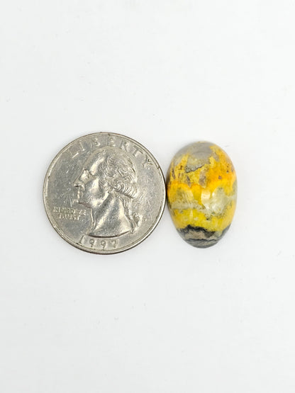 Bumblebee Jasper Cabochon