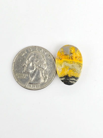 Bumblebee Jasper Cabochon