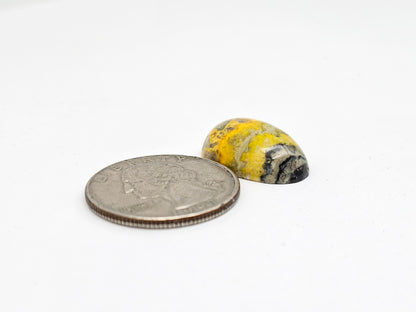 Bumblebee Jasper Cabochon